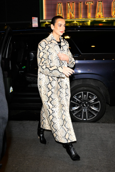 Dua Lipa confirms the coat trend of 2025.